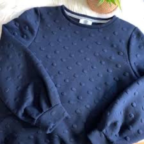 Anthropologie Lili’s Closet Textured Polka Dot Pullover - Picture 3 of 3